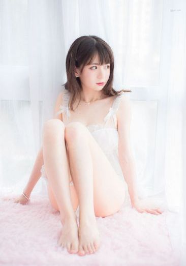 御猫传