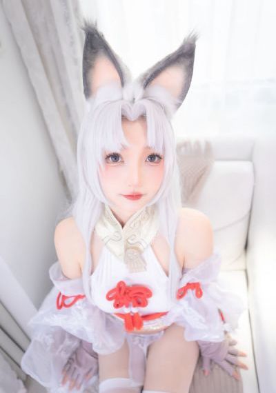 导演的摄影课hl