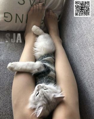 992tv在线成人免费观看
