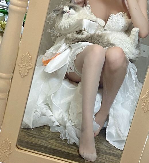 樱花动漫网址