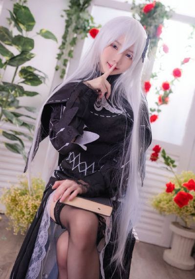 野花视频在线观看免费高清版