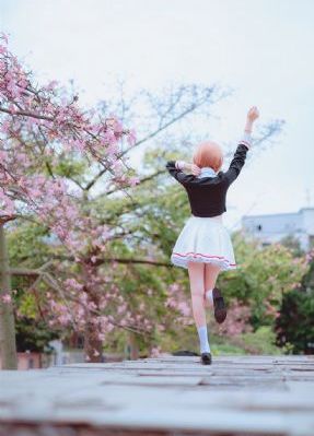 野花香电视剧全集播放完整版高清