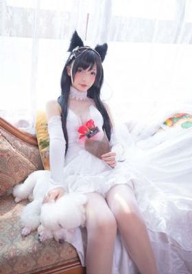 天浩的宝藏视频在线观看免费版